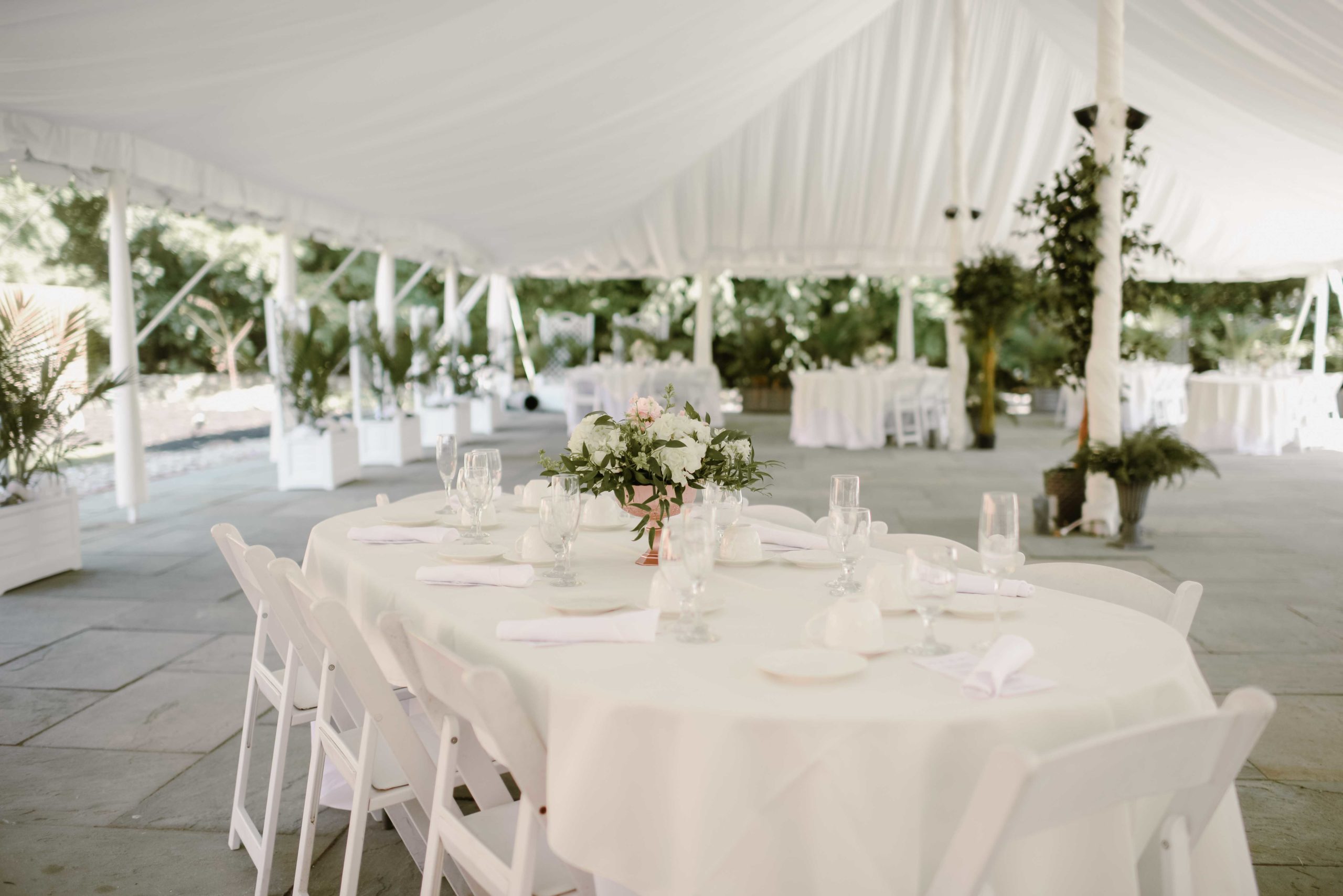 The Venue - Web Ready_-153